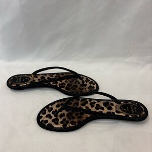 Rene Caovilla Flats